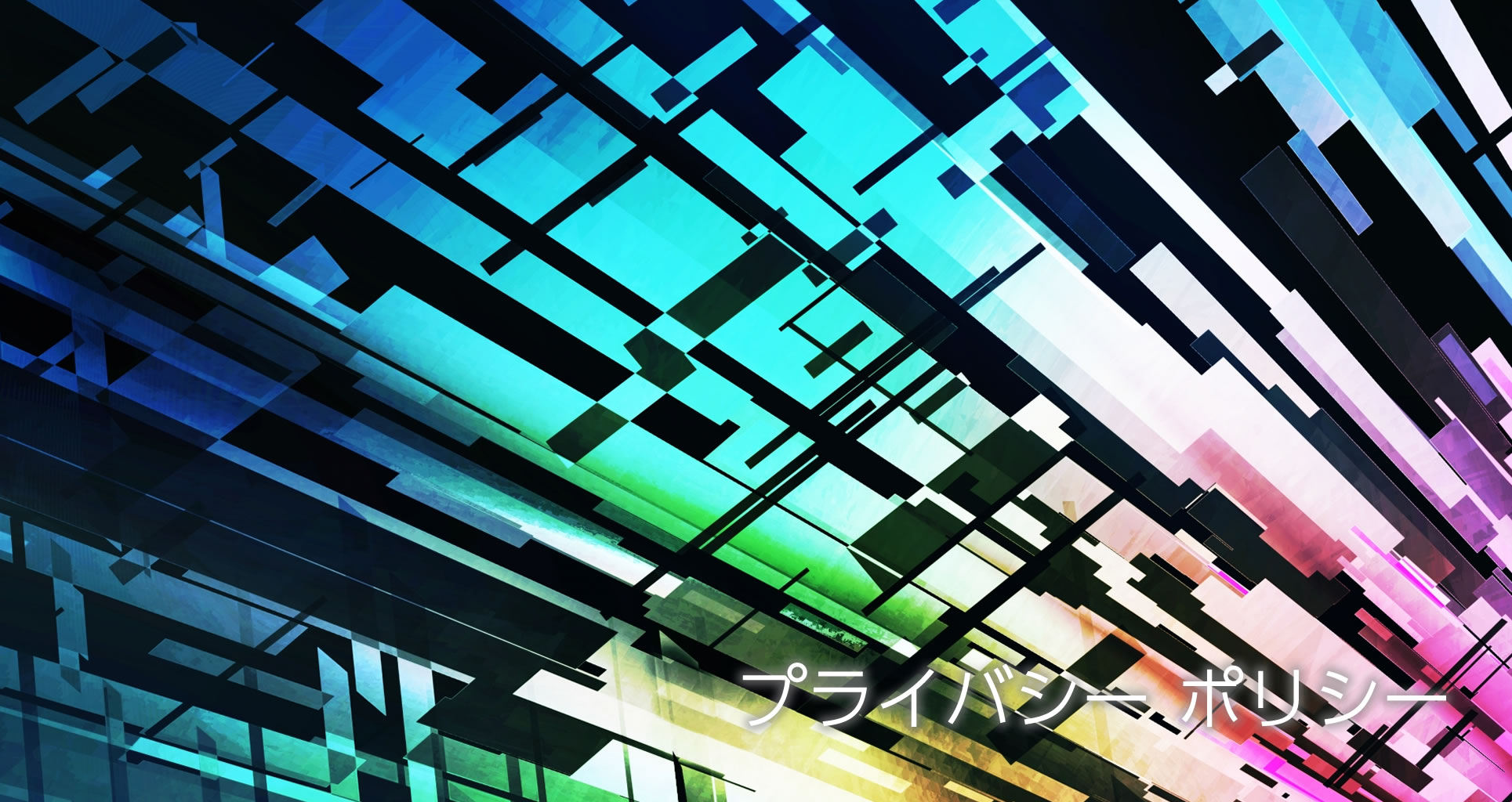 パソコン用のEasy Gainのプライバシーポリシーについての画像